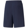 Spodenki Puma teamLIGA M 704924 06 (70492406)