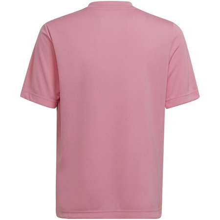 Koszulka adidas Entrada 22 Graphic Jersey Jr (HC2632)