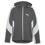 Bluza męskie Puma EVOSTRIPE FULL-ZIP HOODIE Szary (67899580)