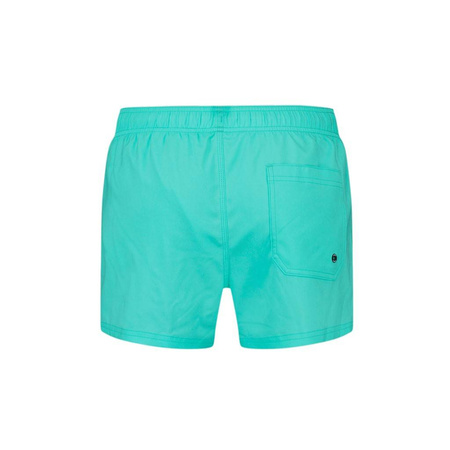 Spodenki plażowe męskie kąpielowe Puma Swim Men Short Length Swim Shorts 1P zielone (907658-19)