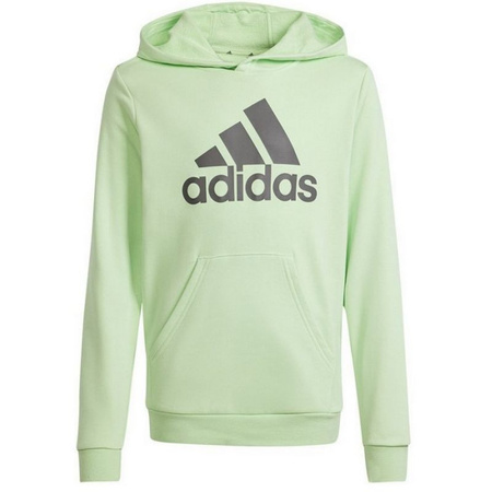 Bluza adidas Big Logo Hoodie Jr (IS2591)