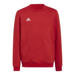 Bluza adidas Entrada 22 Sweat Jr (H57473)