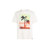 Koszulka O'Neill Jack Neon T-Shirt M (92800613598)