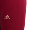Legginsy adidas Essentials Tights Jr (HE1971)