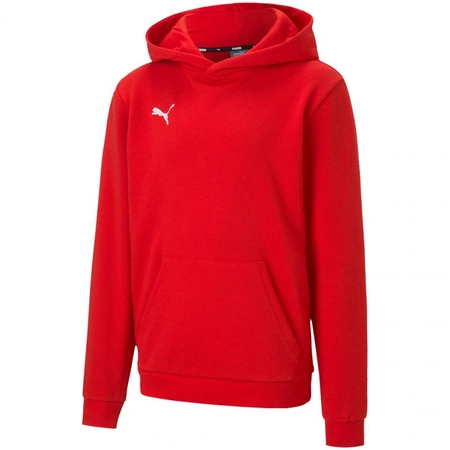 Bluza Puma teamGOAL 23 Casuals Hoody Jr 656711 01 (65671101)