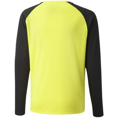 Bluza bramkarska Puma teamPacer GK LS Jersey Jr 704939 42 (70493942)