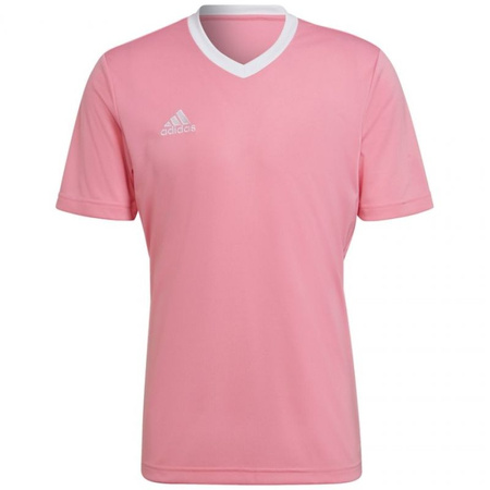 Koszulka adidas Entrada 22 Jersey M (HC5072)