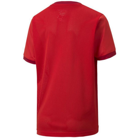 Koszulka Puma teamGOAL 23 Jersey Jr 704160 01 (70416001)