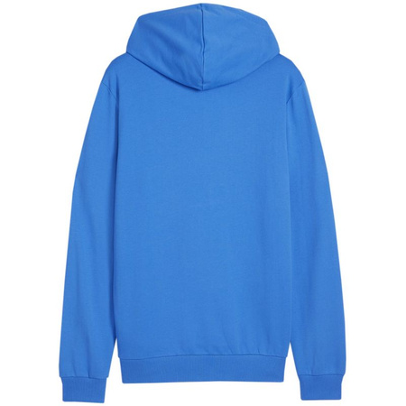 Bluza Puma Team Goal Casuals Hoody M 658618 02 (65861802)