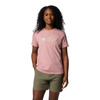 Koszulka Columbia Boundless Beauty Logo SS Tee W 2036573659 (2036573659)