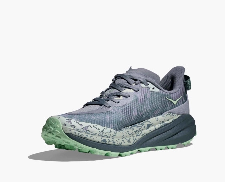 Buty do biegania damskie HOKA Speedgoat 6 Moonlight/Thunder Cloud (1147811-MNLG)