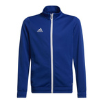 Bluza adidas Junior Entrada 22 Track Jr (HG6288)