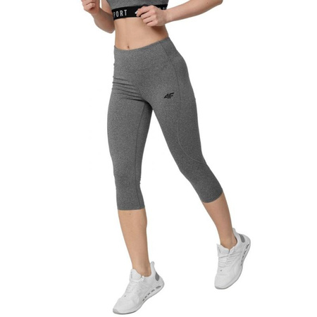 Spodnie 4F W H4Z22 SPDF350 24M (H4Z22SPDF35024M)