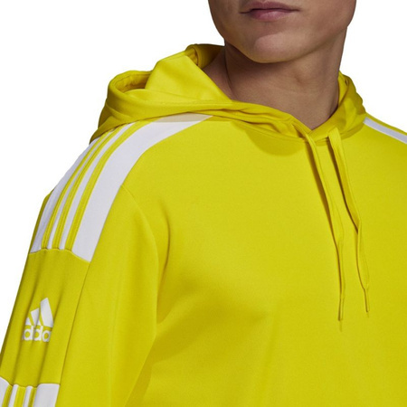 Bluza adidas Squadra 21 Hoody M (GP6438)