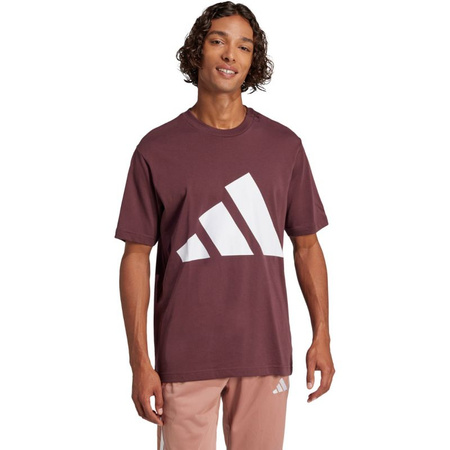 Koszulka adidas Essentials Big Logo M JE8939 (1508497)
