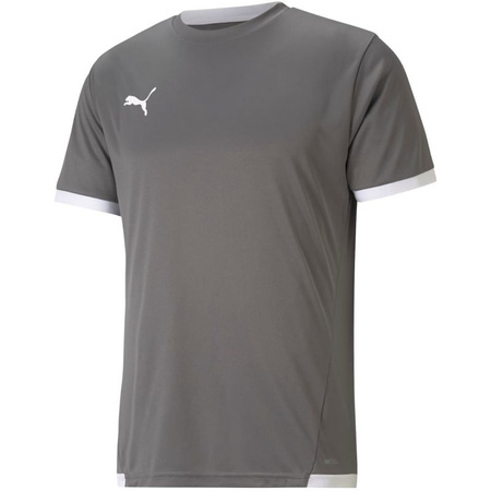 Koszulka Puma teamLIGA Jersey M 704917 13 (70491713)