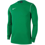 Bluza Nike Park 20 Crew Top (FJ3004-302)