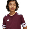 Koszulka dla dzieci adidas Squadra 25 bordowa (JC8667)