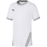 Koszulka Puma teamGOAL 23 Jersey Jr 704160 04 (70416004)