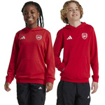 Bluza adidas Arsenal Londyn Jr (IT4091)