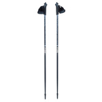 Kije trekkingowe treningowe Viking Lite Pro Nordic Walking (650/21/4563/08)