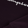 Bluza męska Champion Hooded fioletowa (220253 VS025)