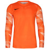 Koszulka Nike Dry Park IV JSY LS GK Jr CJ6072-819 (CJ6072819)