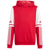 Bluza adidas Squadra 25 Sweat Hoody Jr JD4805 (JD4805)