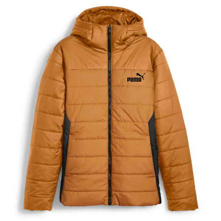 Kurtka męskie Puma ESS HOODED PADDED JKT Brązowy (84893864)