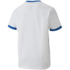Koszulka Puma teamGOAL 23 Jersey Jr 704160 12 (70416012)