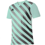 Koszulka adidas Entrada 22 Graphic Jersey Jr (HF0127)
