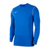 Bluza Nike Park 20 Crew Jr (BV6901-463)