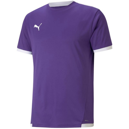 Koszulka Puma teamLIGA Jersey M 704917 10 (70491710)