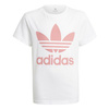 Adidas Originals TREFOIL TEE Dziewczęcy T-shirt Biały (GN8213)