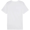 Koszulka Puma Ess No.1 Logo Tee M 682532 02 (68253202)