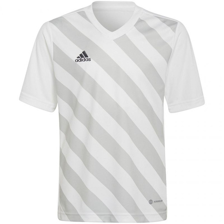 Koszulka adidas Entrada 22 Graphic Jersey Jr (HF0120)