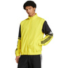 Bluza adidas Squadra 25 Presentation M JP3385 (1521634)