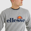 Bluza sportowa męska Ellesse SL Succiso Sweatshirt dresowa lifestylowa szara (SHC07930-112)