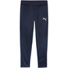 Spodnie Puma Team Goal Training M 658639 06 (65863906)