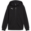 Bluza Puma teamGoal Casuals Hooded Jr 658596 03 (65859603)