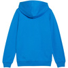 Bluza dla dzieci Puma teamGoal Casuals Hooded niebieska (658596 02)