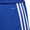 Spodenki adidas Tastigo 19 Shorts M (DP3682)