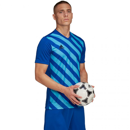 Koszulka adidas Entrada 22 Graphic Jersey M (HF0116)