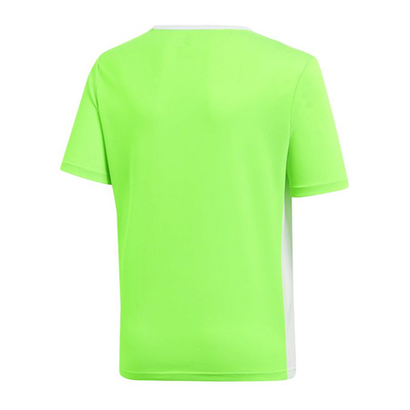 Koszulka adidas Entrada 18 Jr (CE9755)