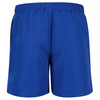 Szorty Reebok SWIM SHORT YESTIN Niebieski (71023BL)