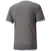 Koszulka Puma teamLIGA Jersey M 704917 13 (70491713)