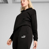 Spodnie Puma ESS Small No. 1 Logo W 682448 01 (1589799)