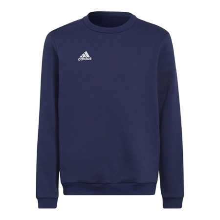 Bluza adidas Entrada 22 Hoody Jr (H57568)