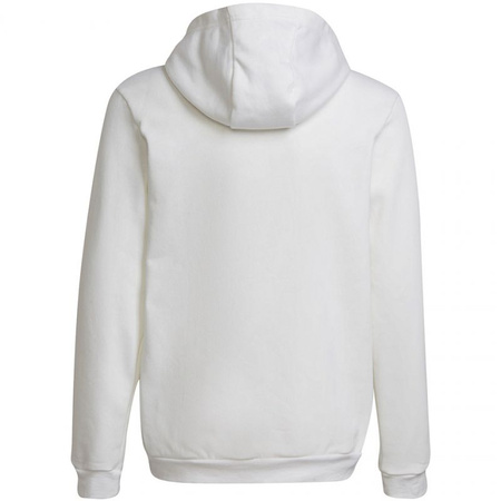 Bluza adidas Entrada 22 Hoody Jr (HG6303)