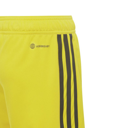 Spodenki adidas Tiro 23 League Jr (IB8095)